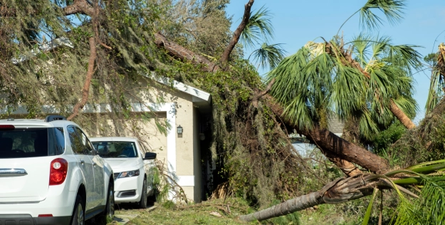 Storm Damage